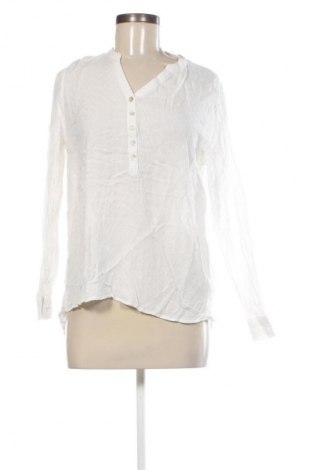 Damen Shirt Colloseum, Größe M, Farbe Weiß, Preis 1,99 €