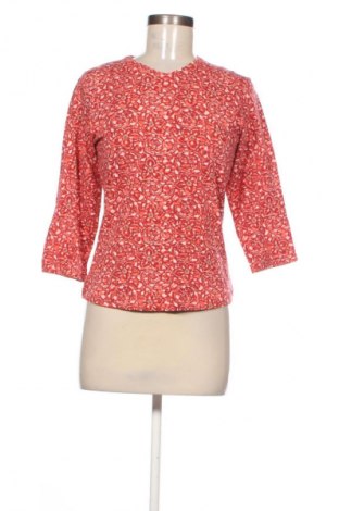 Damen Shirt Columbia, Größe S, Farbe Mehrfarbig, Preis 24,55 €