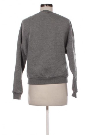 Γυναικεία μπλούζα Laurella, Μέγεθος M, Χρώμα Γκρί, Τιμή 2,99 €