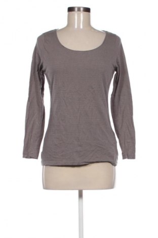 Γυναικεία μπλούζα Montego, Μέγεθος L, Χρώμα Πολύχρωμο, Τιμή 12,99 €