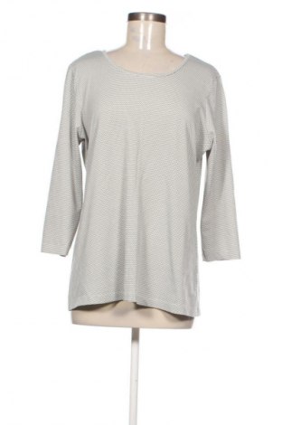 Γυναικεία μπλούζα Next, Μέγεθος XL, Χρώμα Πολύχρωμο, Τιμή 5,99 €