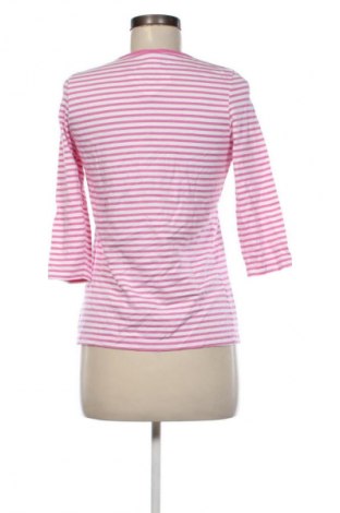 Dámska blúza Paola, Veľkosť M, Farba Viacfarebná, Cena  1,95 €