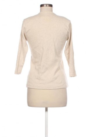 Γυναικεία μπλούζα Sasson, Μέγεθος M, Χρώμα Πολύχρωμο, Τιμή 1,99 €