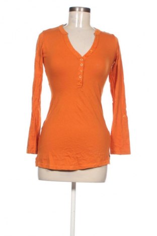 Dámská halenka Terranova, Velikost S, Barva Oranžová, Cena  49,00 Kč