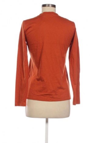 Γυναικεία μπλούζα Unbranded, Μέγεθος S, Χρώμα Καφέ, Τιμή 8,36 €