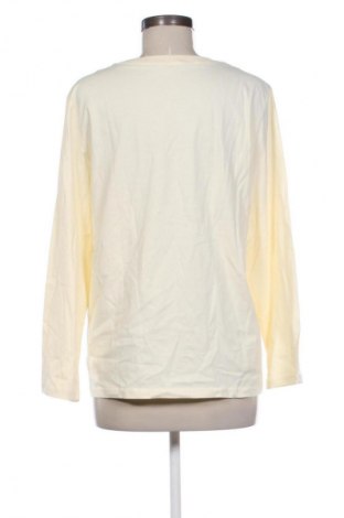 Dámská halenka Unbranded, Velikost L, Barva Vícebarevné, Cena  59,00 Kč