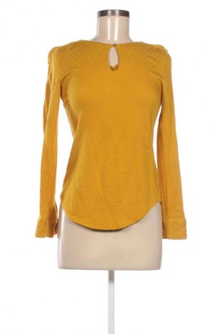 Γυναικεία μπλούζα Zero, Μέγεθος S, Χρώμα Πορτοκαλί, Τιμή 4,99 €