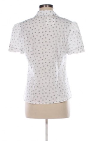 Γυναικείο πουκάμισο Atmosphere, Μέγεθος L, Χρώμα Πολύχρωμο, Τιμή 4,99 €