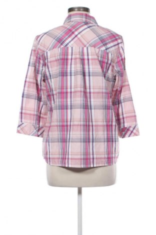 Damenbluse Collection L, Größe L, Farbe Mehrfarbig, Preis € 1,99