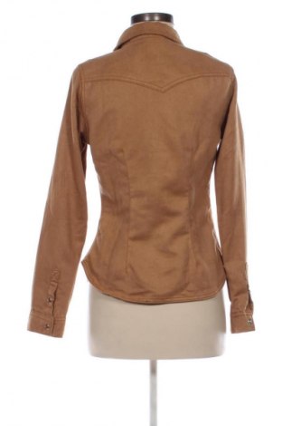 Damenbluse H&M, Größe M, Farbe Beige, Preis 3,99 €
