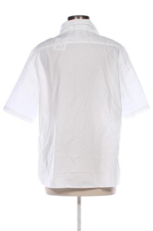 Damska koszula Walbusch, Rozmiar XL, Kolor Biały, Cena 36,99 zł