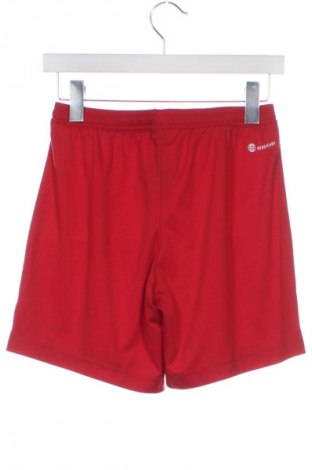 Γυναικείο κοντό παντελόνι Adidas, Μέγεθος XS, Χρώμα Κόκκινο, Τιμή 4,84 €