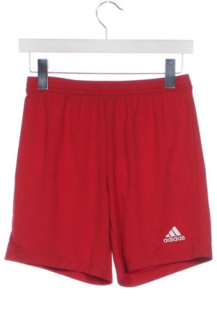 Γυναικείο κοντό παντελόνι Adidas, Μέγεθος XS, Χρώμα Κόκκινο, Τιμή 4,84 €