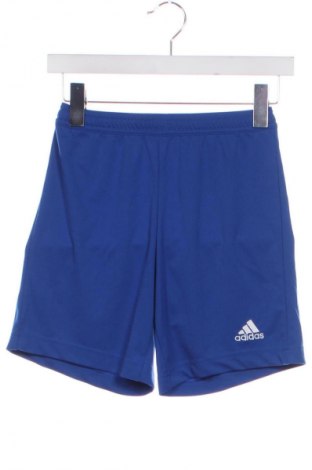 Dámské kraťasy  Adidas, Velikost XXS, Barva Modrá, Cena  137,00 Kč