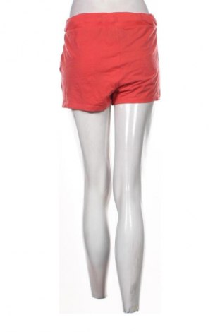 Damen Shorts Esmara, Größe L, Farbe Rosa, Preis 5,99 €