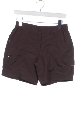 Damen Shorts Icepeak, Größe XS, Farbe Braun, Preis 15,46 €