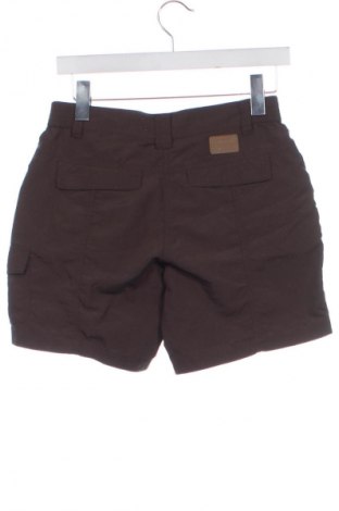 Damen Shorts Icepeak, Größe XS, Farbe Braun, Preis 15,46 €