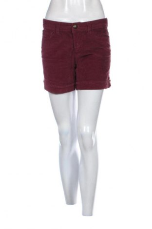 Damskie szorty Yessica, Rozmiar S, Kolor Fioletowy, Cena 11,99 zł