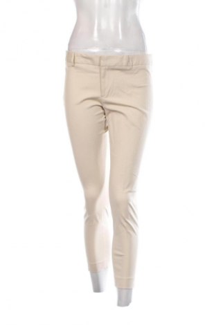 Damenhose Bruce Field, Größe L, Farbe Ecru, Preis 3,99 €