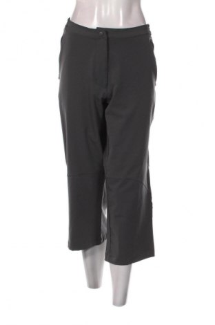 Damenhose Crane, Größe L, Farbe Grau, Preis 3,99 €