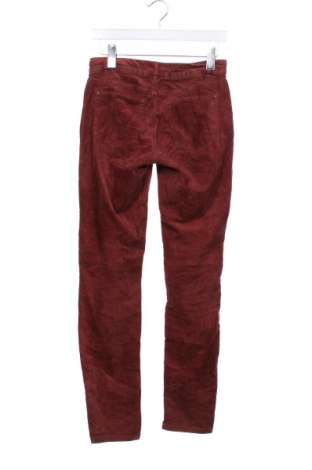 Damskie spodnie Esprit, Rozmiar XS, Kolor Brązowy, Cena 7,99 zł