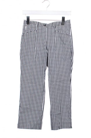 Damskie spodnie Golfino, Rozmiar S, Kolor Kolorowy, Cena 44,99 zł