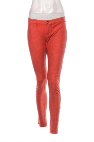 Damenhose Guess, Größe XL, Farbe Mehrfarbig, Preis € 8,99
