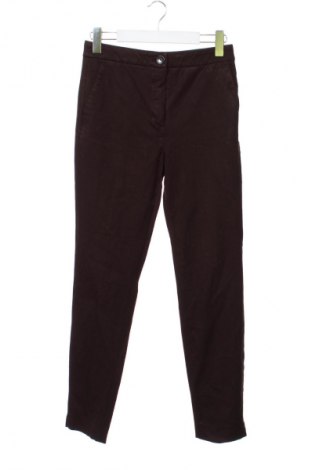 Damenhose Massimo Dutti, Größe S, Farbe Braun, Preis € 19,99