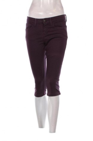 Damskie spodnie Mexx, Rozmiar M, Kolor Fioletowy, Cena 23,99 zł
