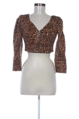 Damen Blazer Zara, Größe M, Farbe Mehrfarbig, Preis € 6,99