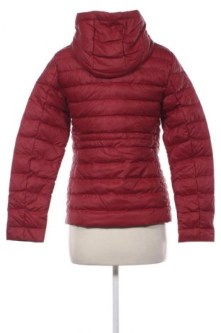 Kurtka damska Tommy Hilfiger, Rozmiar XS, Kolor Czerwony, Cena 355,99 zł