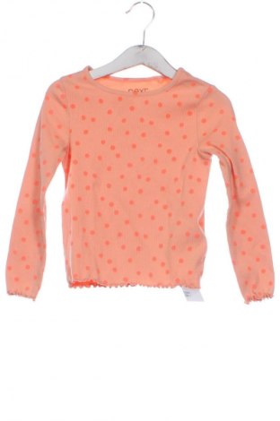 Παιδική μπλούζα Next, Μέγεθος 2-3y/ 98-104 εκ., Χρώμα Πορτοκαλί, Τιμή 5,00 €