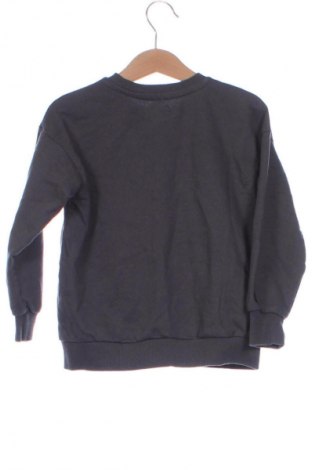 Kinder Shirt Sinsay, Größe 5-6y/ 116-122 cm, Farbe Grau, Preis € 1,99