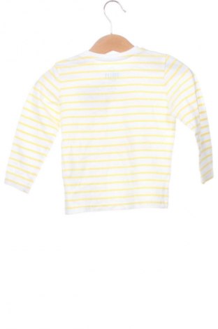 Detská blúzka  Sinsay, Veľkosť 9-12m/ 74-80 cm, Farba Viacfarebná, Cena  1,95 €