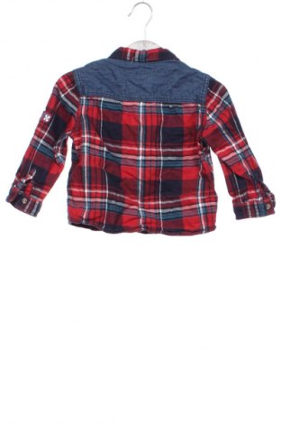 Kinderhemd LC Waikiki, Größe 9-12m/ 74-80 cm, Farbe Mehrfarbig, Preis 1,99 €