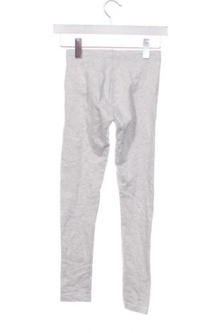 Dziecięce legginsy Pepperts!, Rozmiar 10-11y/ 146-152 cm, Kolor Szary, Cena 8,99 zł