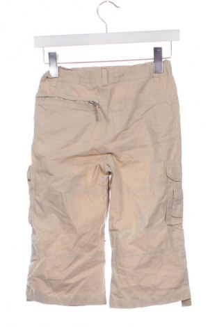 Kinderhose TCM, Größe 8-9y/ 134-140 cm, Farbe Beige, Preis 1,99 €