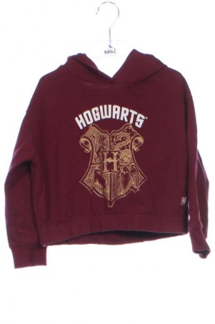 Παιδικό φούτερ Sinsay, Μέγεθος 4-5y/ 110-116 εκ., Χρώμα Βιολετί, Τιμή 1,99 €