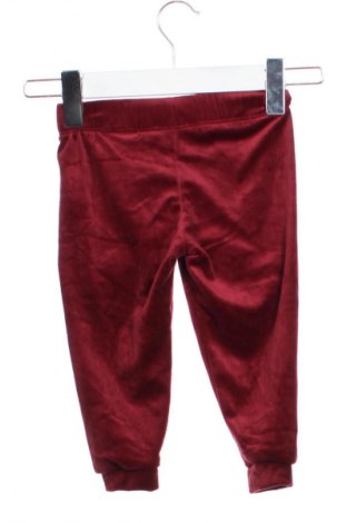 Παιδική κάτω φόρμα Lupilu, Μέγεθος 9-12m/ 74-80 εκ., Χρώμα Κόκκινο, Τιμή 7,99 €