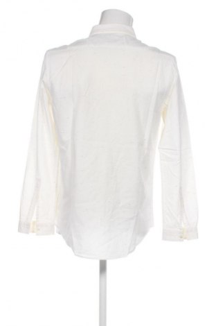 Herrenhemd Zara, Größe XL, Farbe Mehrfarbig, Preis € 5,99