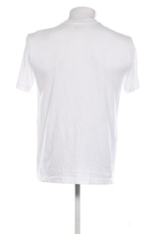 Herren T-Shirt Lacoste, Größe S, Farbe Weiß, Preis € 40,99
