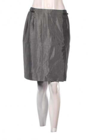 Φούστα Marc Cain, Μέγεθος M, Χρώμα Γκρί, Τιμή 9,99 €