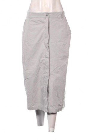 Φούστα Reserved, Μέγεθος M, Χρώμα Γκρί, Τιμή 1,99 €