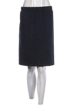 Sukňa Tom Tailor, Veľkosť XL, Farba Modrá, Cena  2,95 €