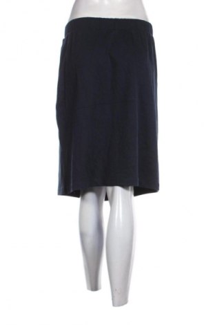 Sukňa Tom Tailor, Veľkosť XL, Farba Modrá, Cena  2,95 €