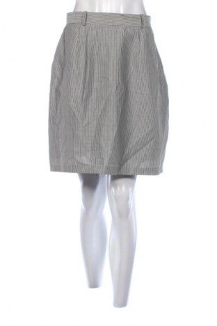 Φούστα Unbranded, Μέγεθος L, Χρώμα Πολύχρωμο, Τιμή 4,99 €