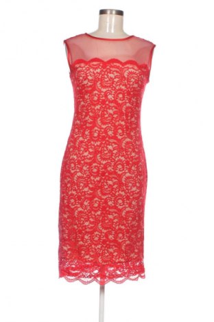 Φόρεμα Betsy & Adam, Μέγεθος M, Χρώμα Πολύχρωμο, Τιμή 13,24 €