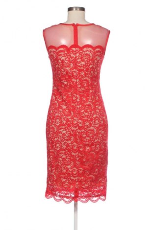 Φόρεμα Betsy & Adam, Μέγεθος M, Χρώμα Πολύχρωμο, Τιμή 13,24 €