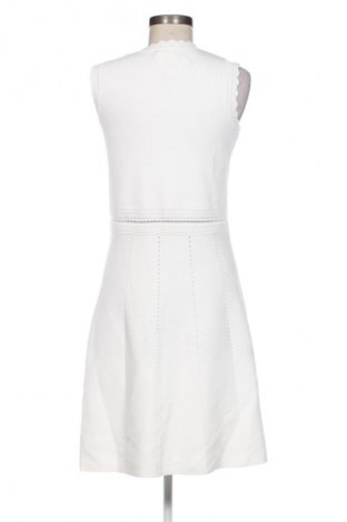Kleid Cache Cache, Größe L, Farbe Weiß, Preis 11,99 €