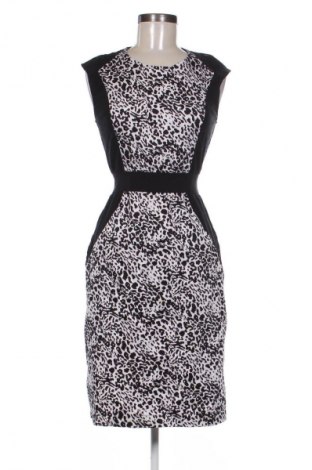 Φόρεμα Eleonora Amadei, Μέγεθος L, Χρώμα Πολύχρωμο, Τιμή 4,80 €